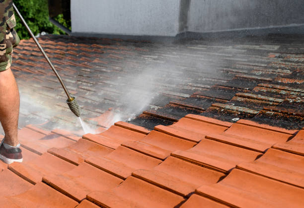 Best Local Pressure Washing Services  in Edison, GA